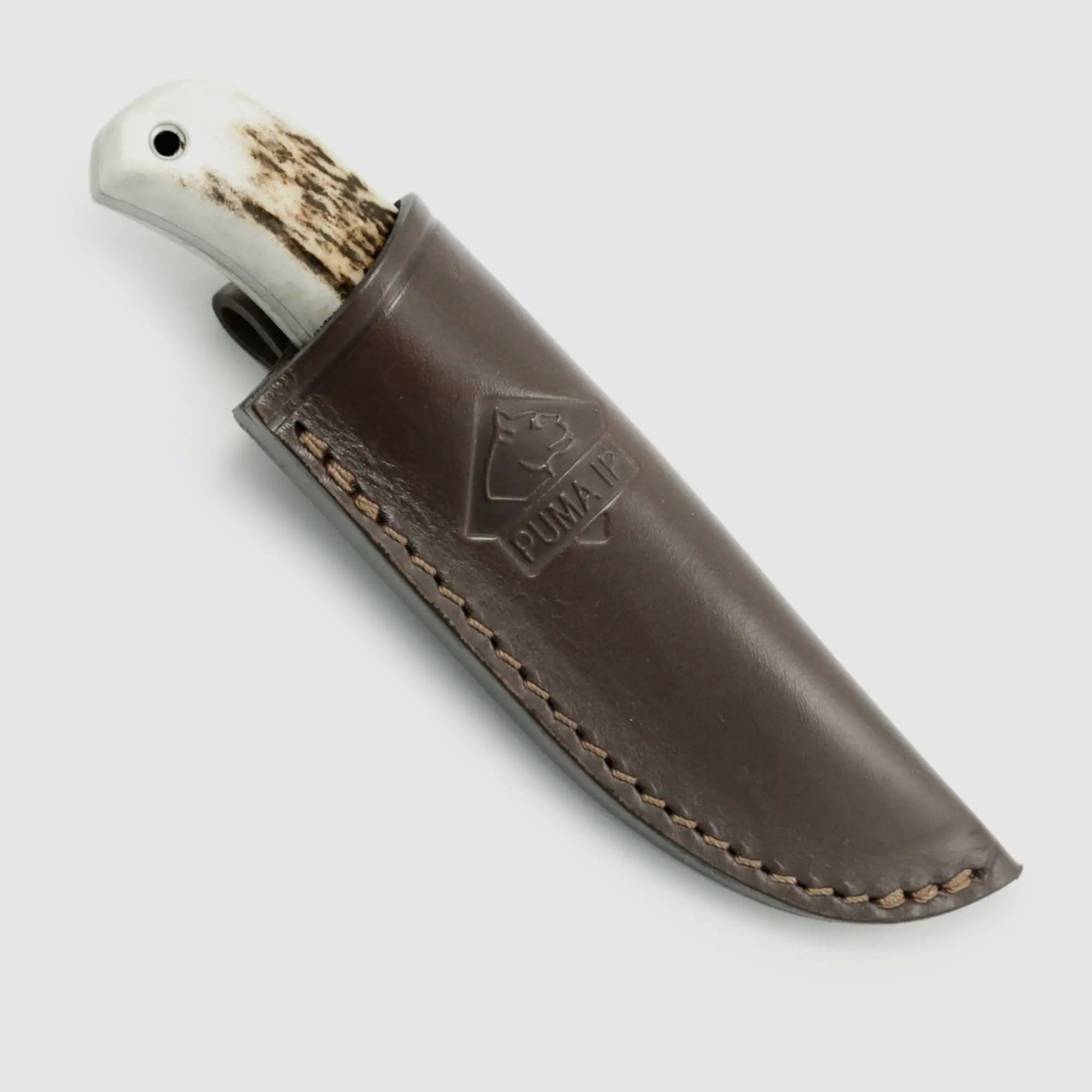 PUMA IP ela stag