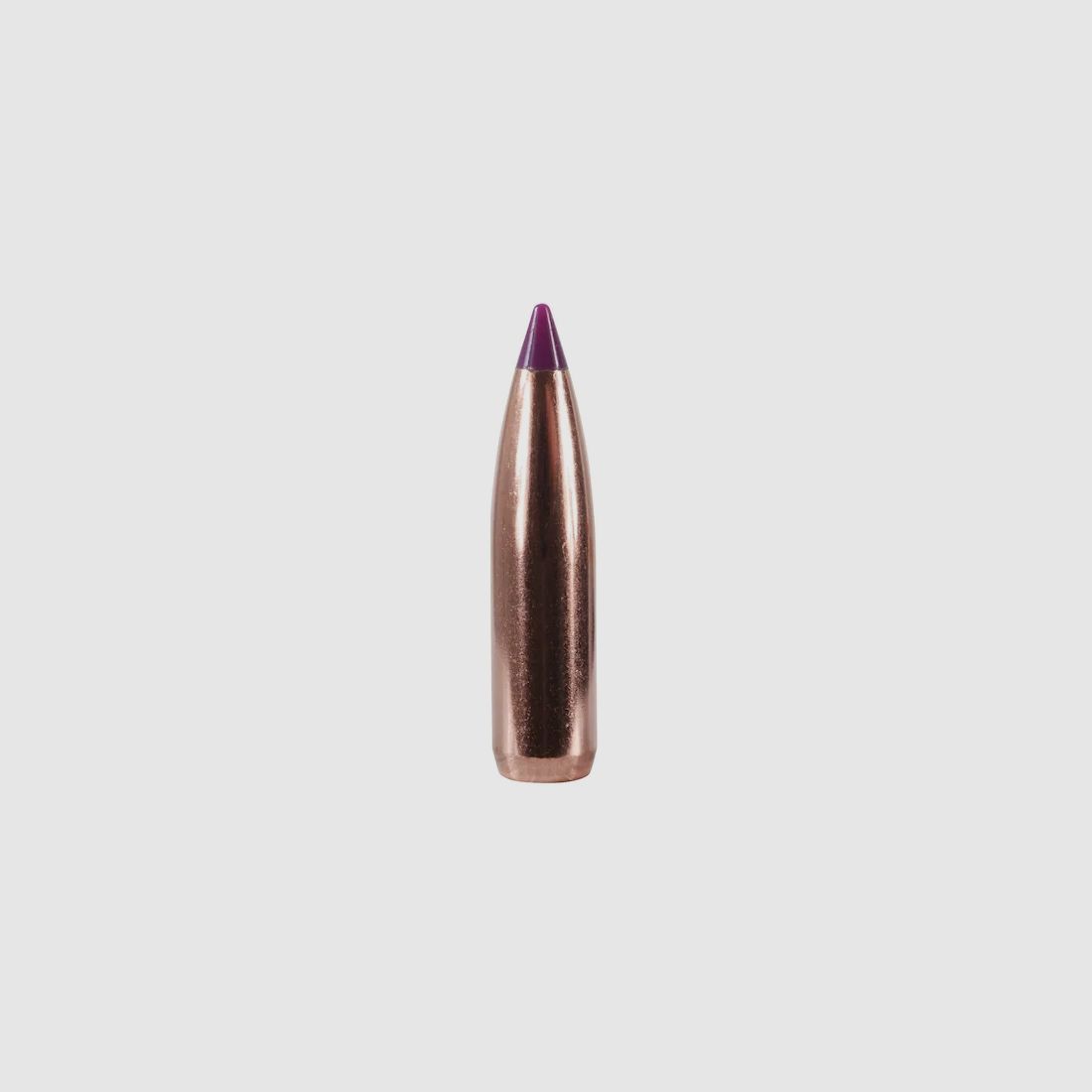 Nosler Geschoss Ballistic Tip Hunting 6mm/.243 90GR Spitzer 50 Stück