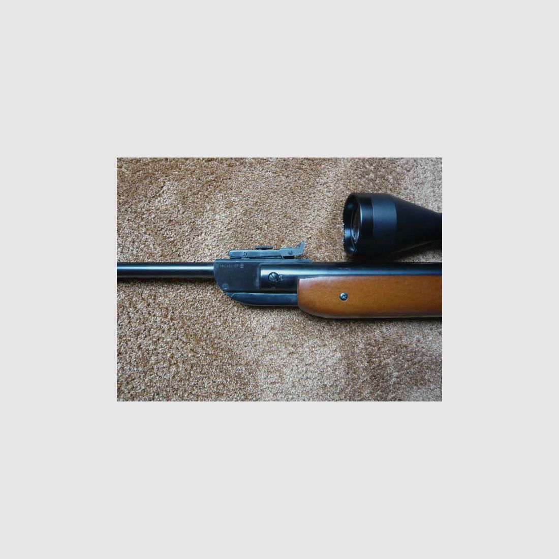 Fusil à air DIANA Mod.35 m.ZFR LEADER 2,5-10X56E