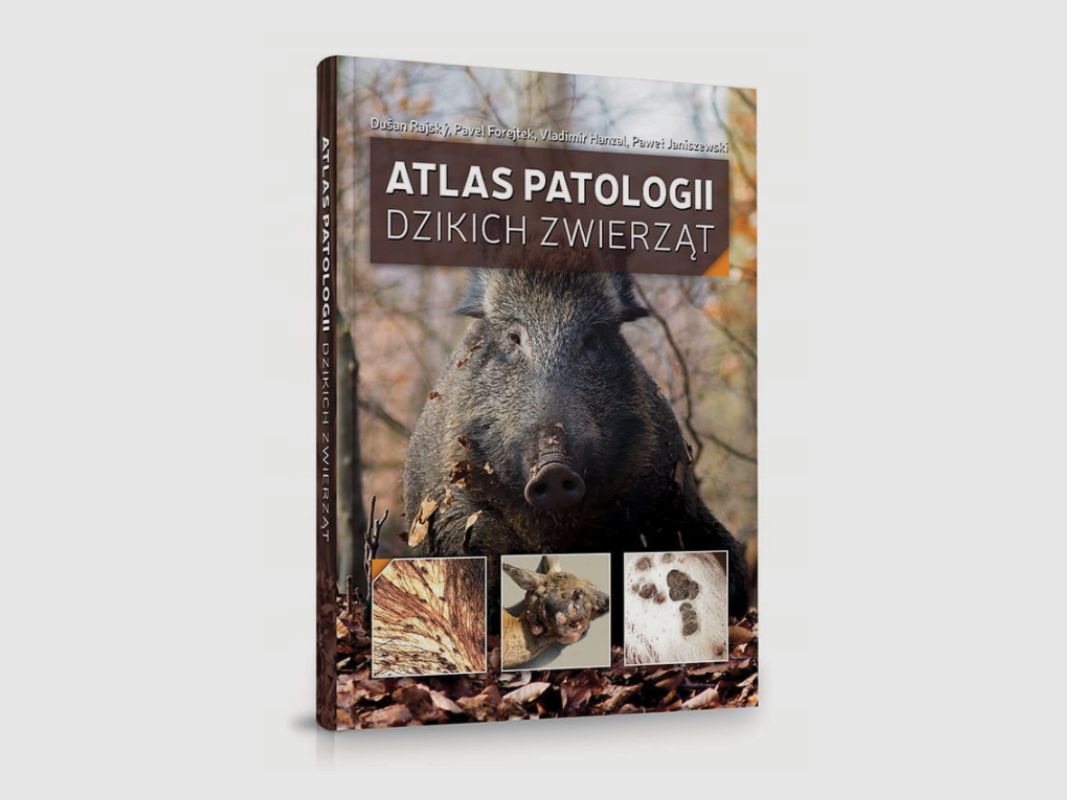 ATLAS PATOLOGII DZIKICH ZWIERZĄT, zdjęcie 1 z 6