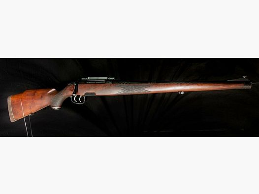 Steyr Mannlicher Stutzen M mit Dentler Montage