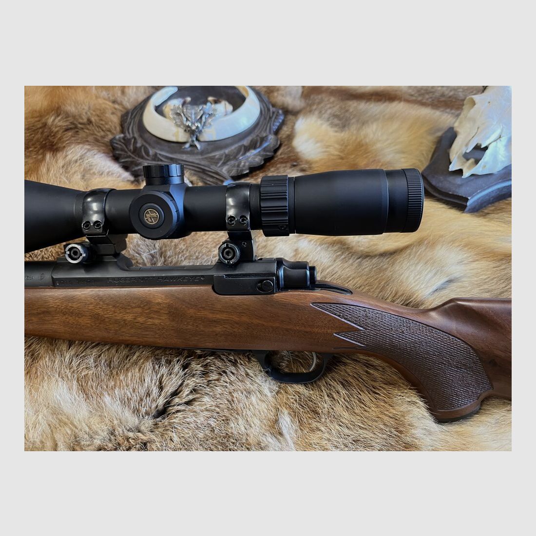 Ruger 77