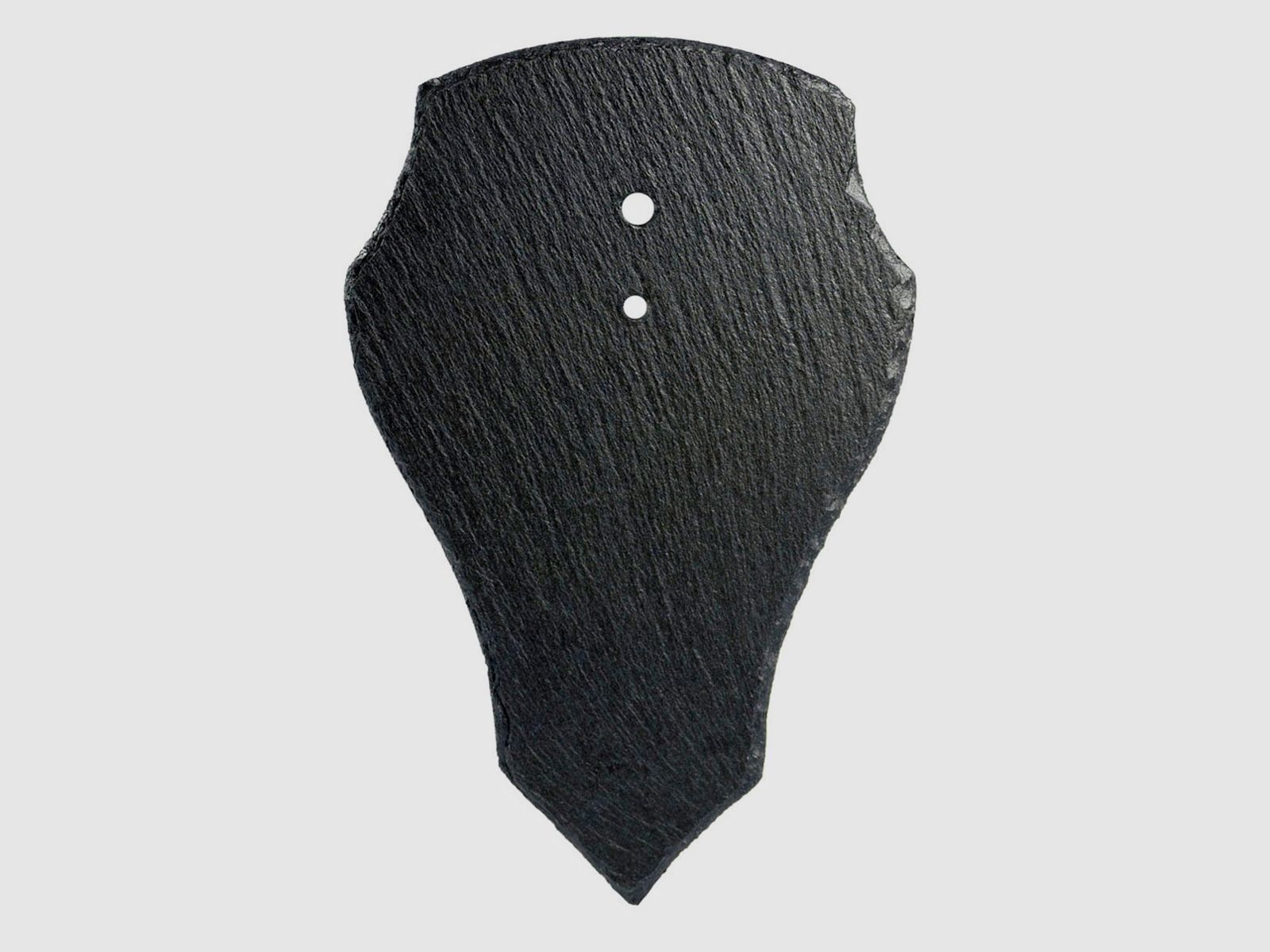 Trophystone trofee leisteen ree