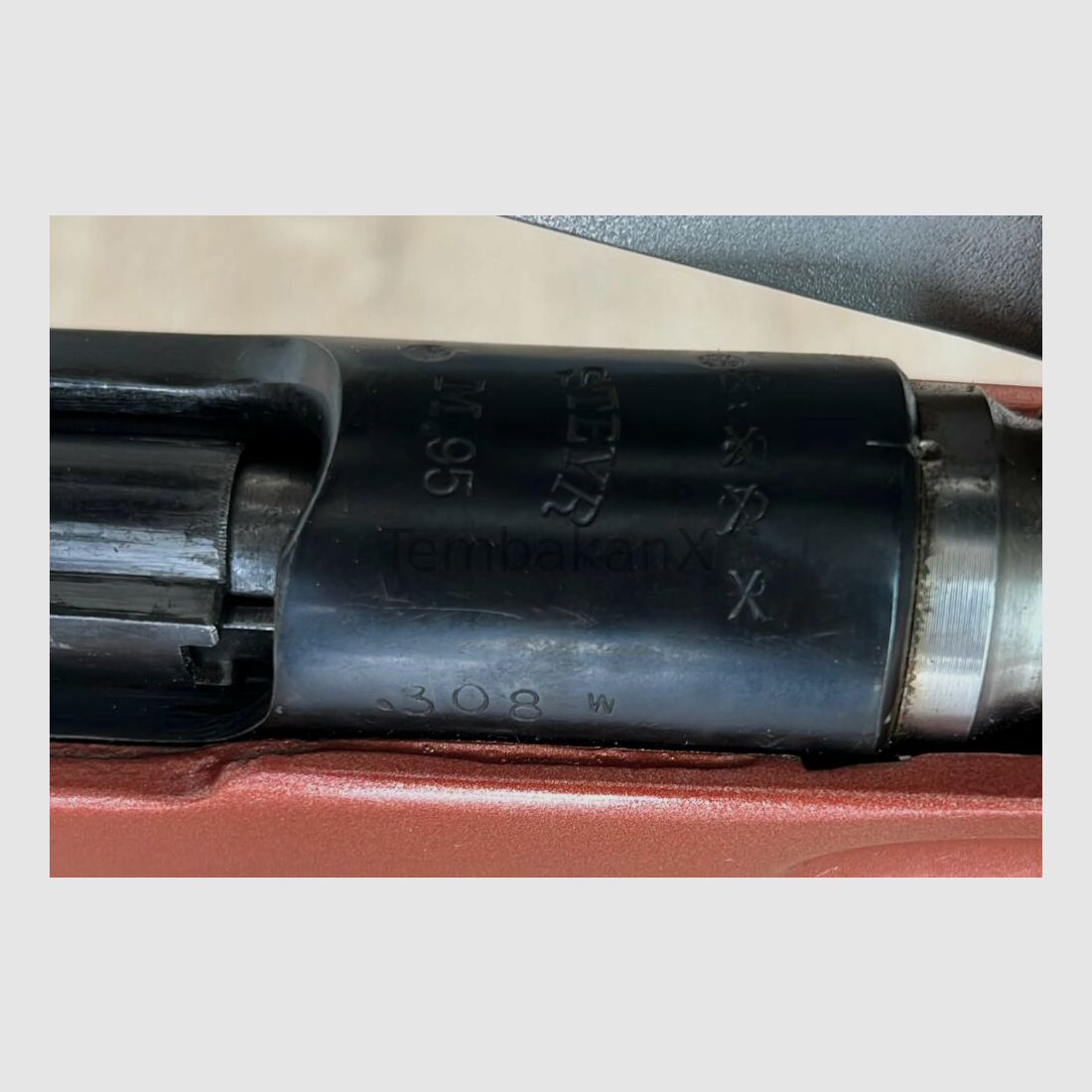 Styria Arms M95 Modifiziert/Umbau .308Win