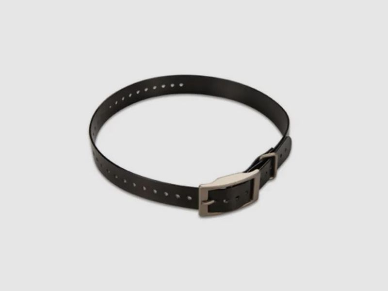 Garmin Alpha LTE + Halsband schwarz / SET!