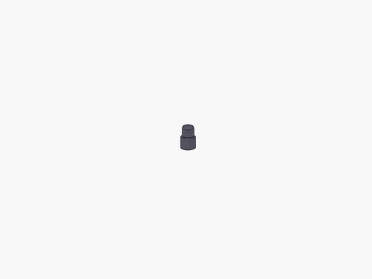 SIG SAUER P226 X-Serie Sport smontaggio perno