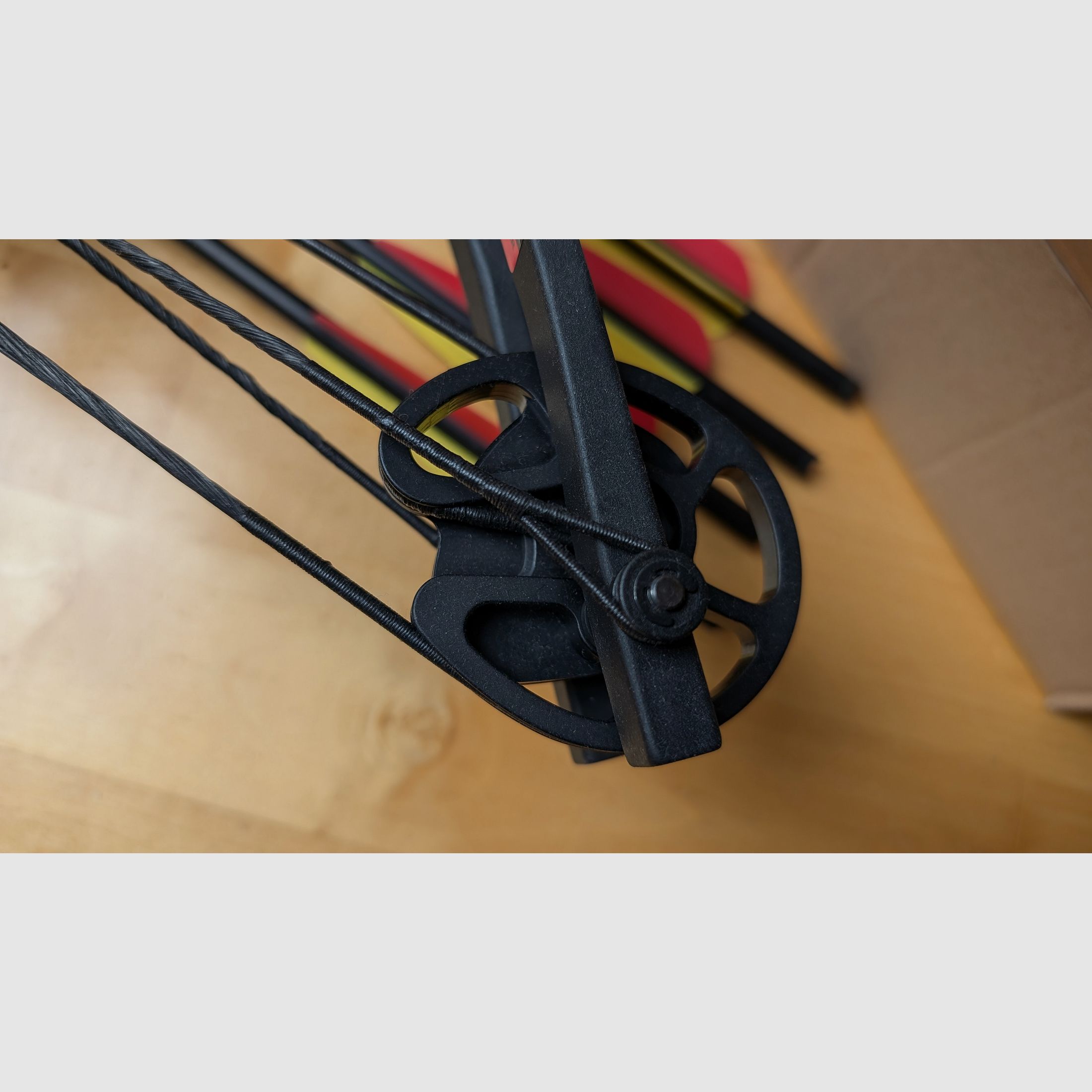 Man Kung 185 lbs Compound Armbrust neuwertig mit viel Zubehör und Jagdspitzen