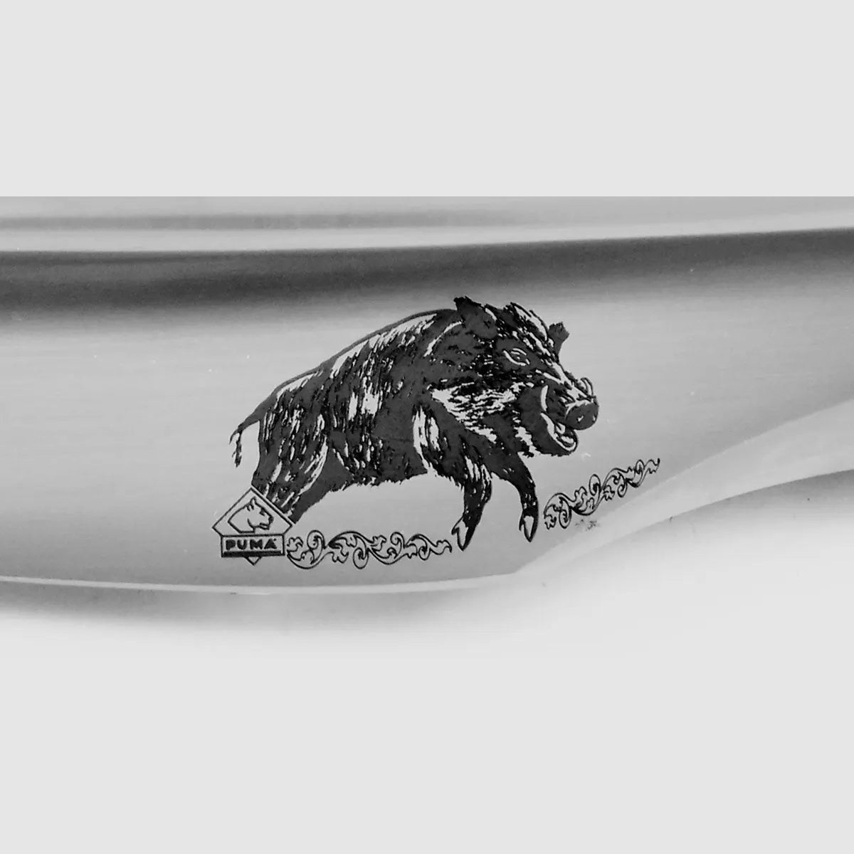 PUMA Saufeder-Spitze mit Gravur, limitiert auf weltweit 50 Stück