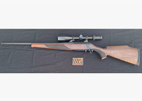 Sauer & Sohn 202 .30-06Spring