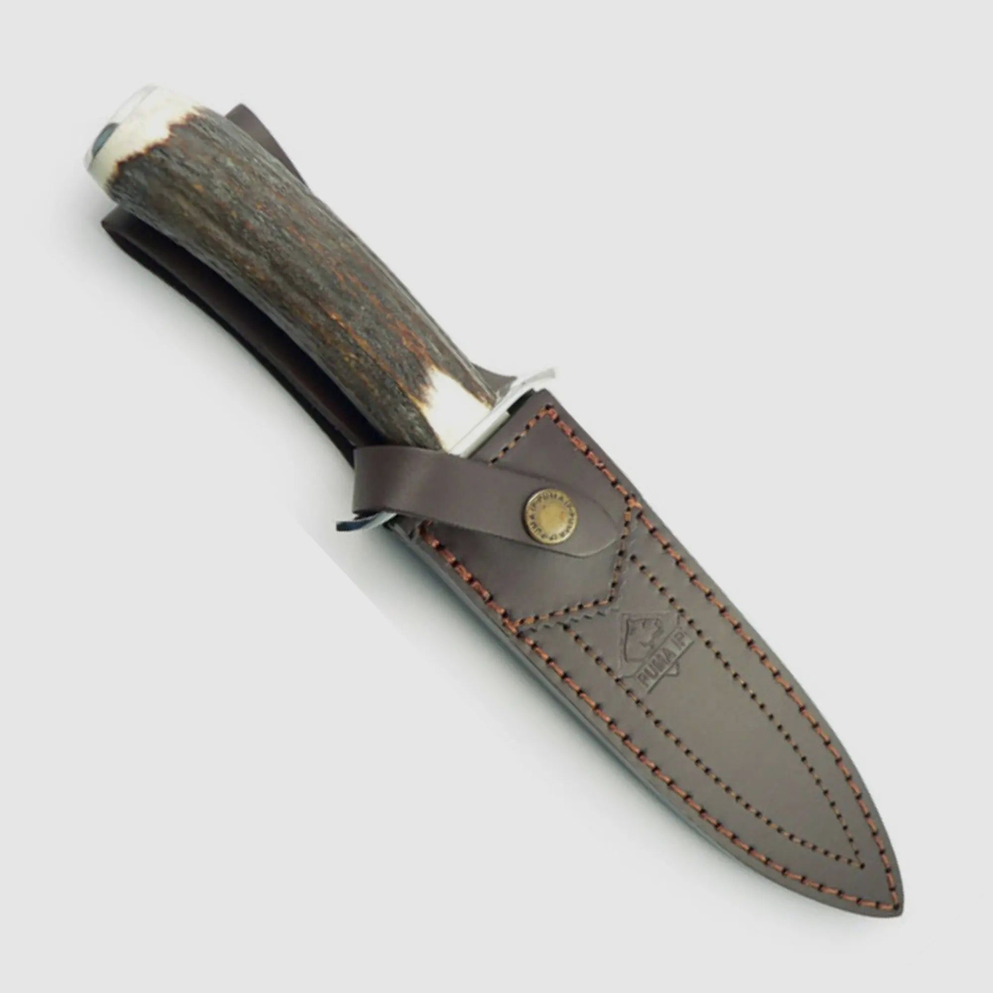 PUMA IP wild boar