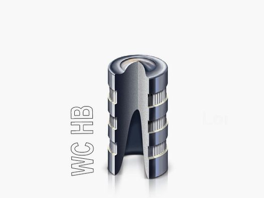 Projectiles cal. 38-148-WC HB Prvi. (100 unités)