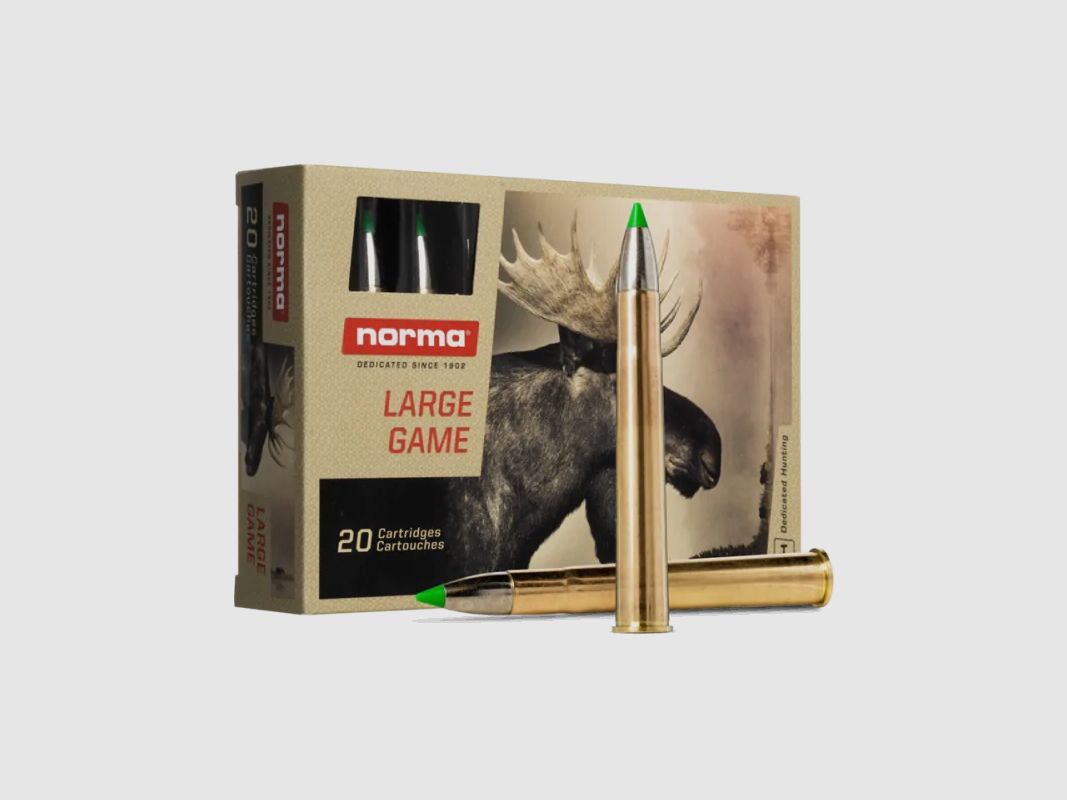 AMUNICJA KULOWA NORMA .8X57 JS ECOSTRIKE 10,4G