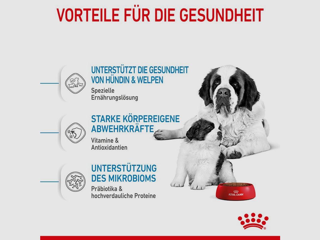 ROYAL CANIN Sehr Große Hunde Trockenfutter Starter Giant tragende Hündin und Welpen 15 Kg