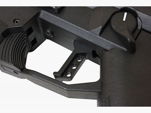HB CZ Scorpion EVO3 THETA FORWARD Abzug Schwarz