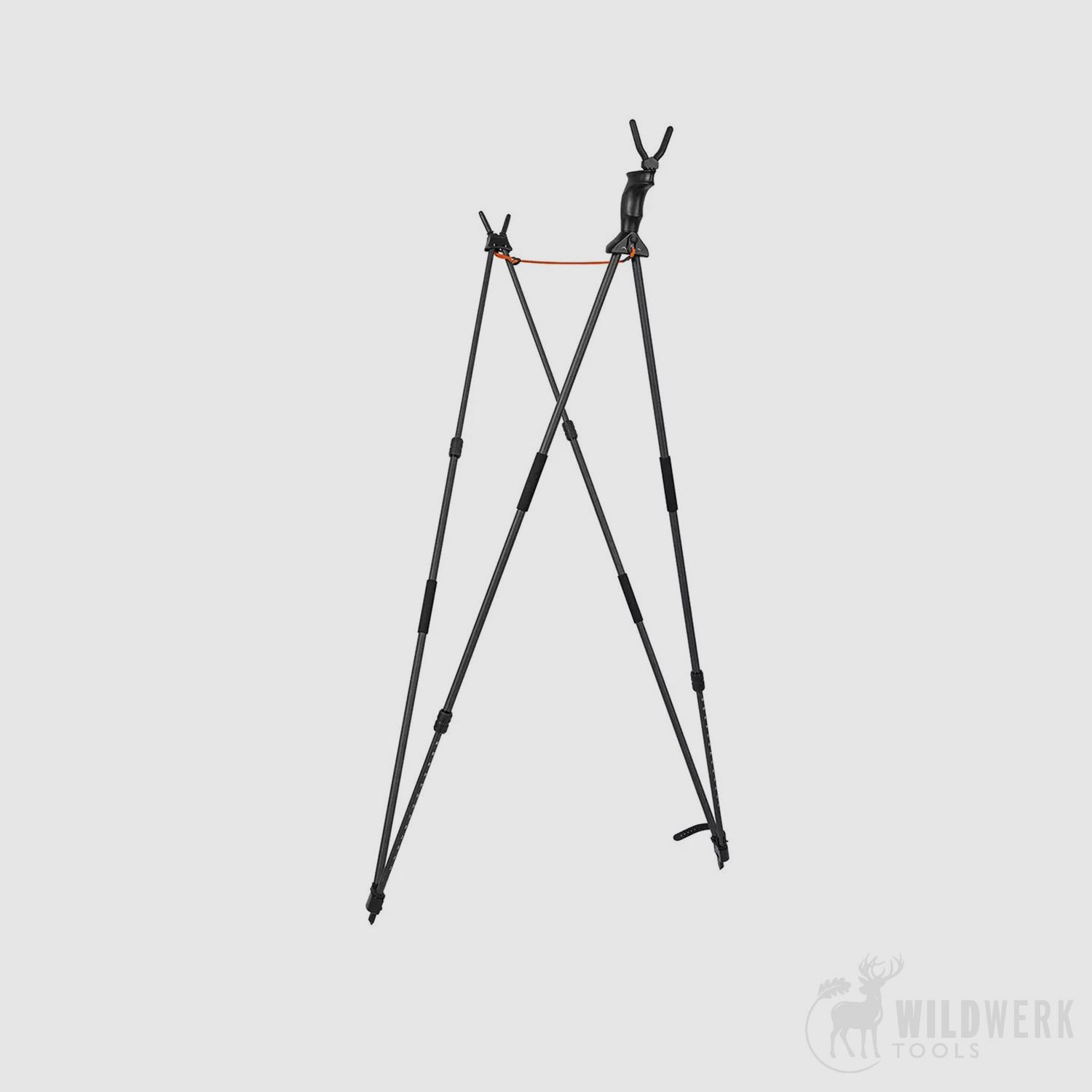 Blaser Carbon Zielstock 2.0