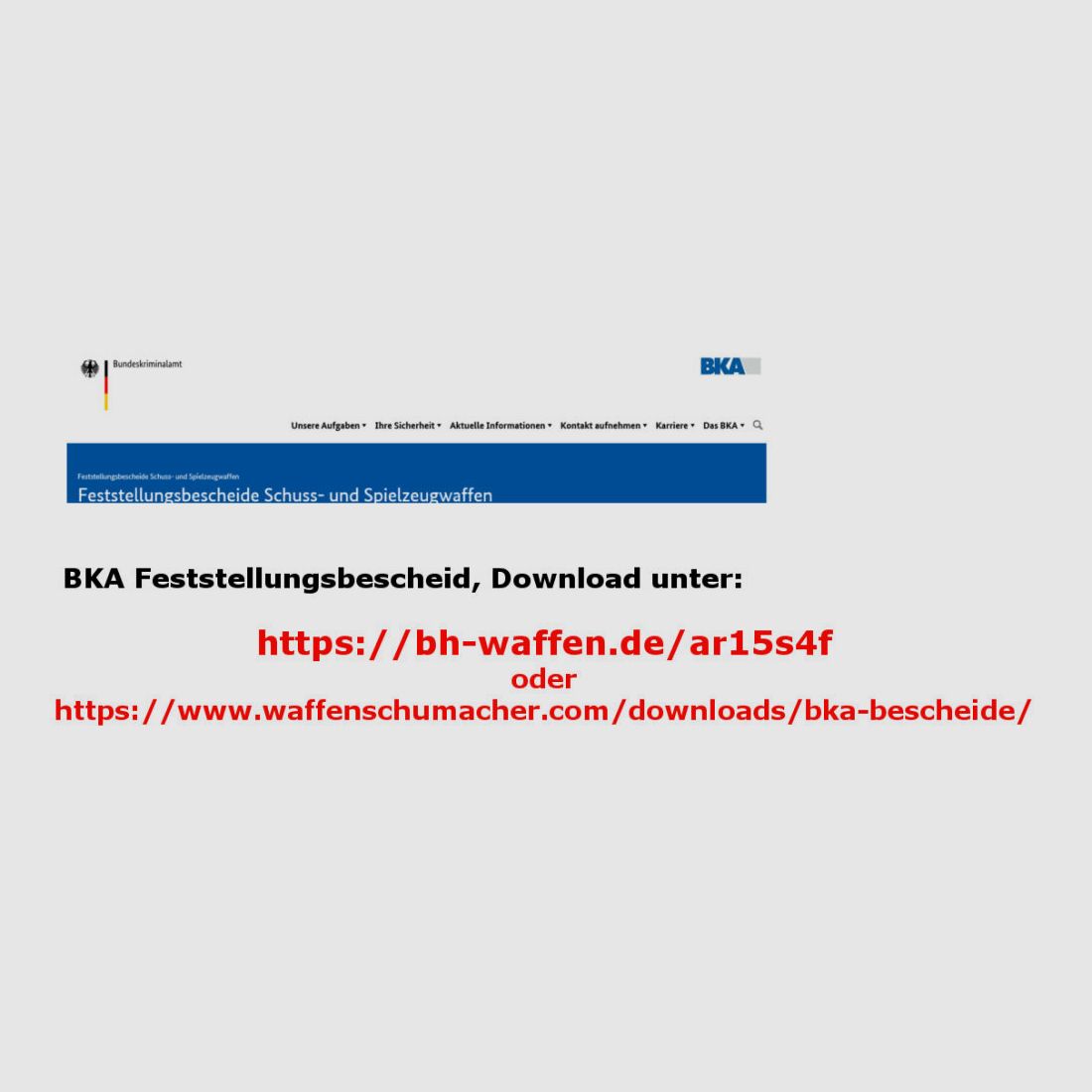 Schmeisser	 AR15 S4F Sport 10.5" -Zum sportlichen schießen zugelassen!-