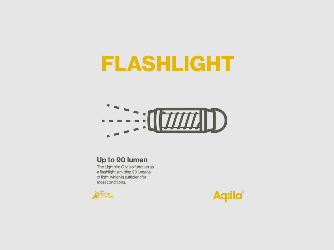 Taschenlampe im Laternenstil Lightbird G1 Aqiila, Bild 3 von 9
