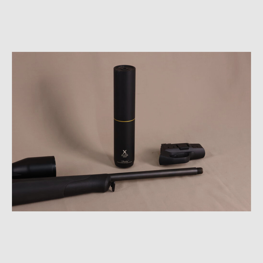 Blaser R8 Professional Success // Mit Zeiss V8 und Schalldämpfer!!