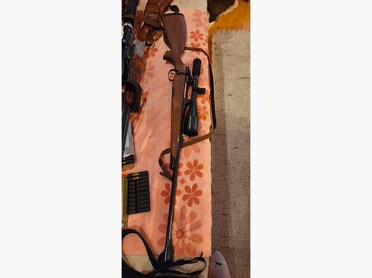 Steyr manlicher Luxus 