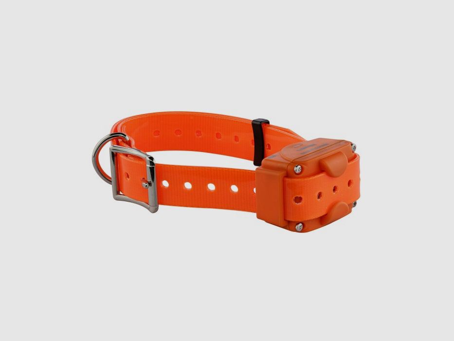 Conjunto de Collar de Entrenamiento Canicom 1000 NUM'AXES, imagen 3 de 8