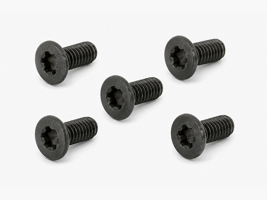 Spuhr M4x10 Tx20 Gen1 Haubenschrauben - 5 Stück