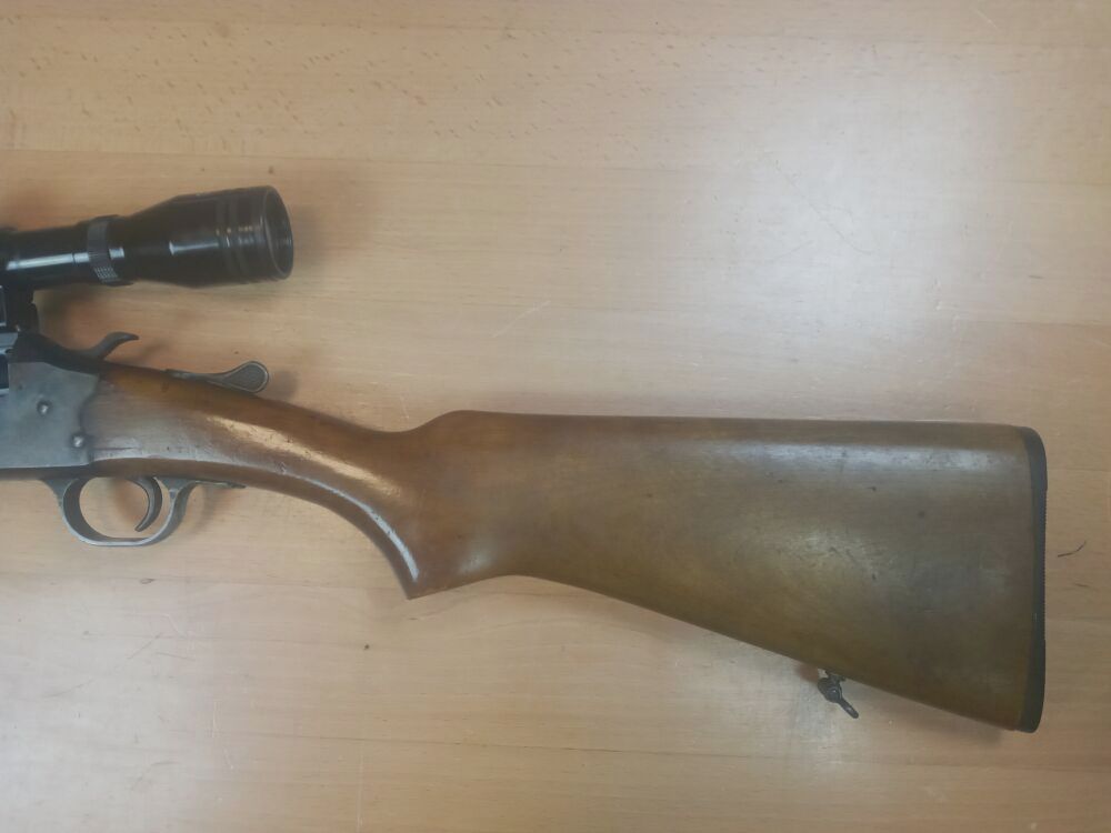 Savage Modell 24
