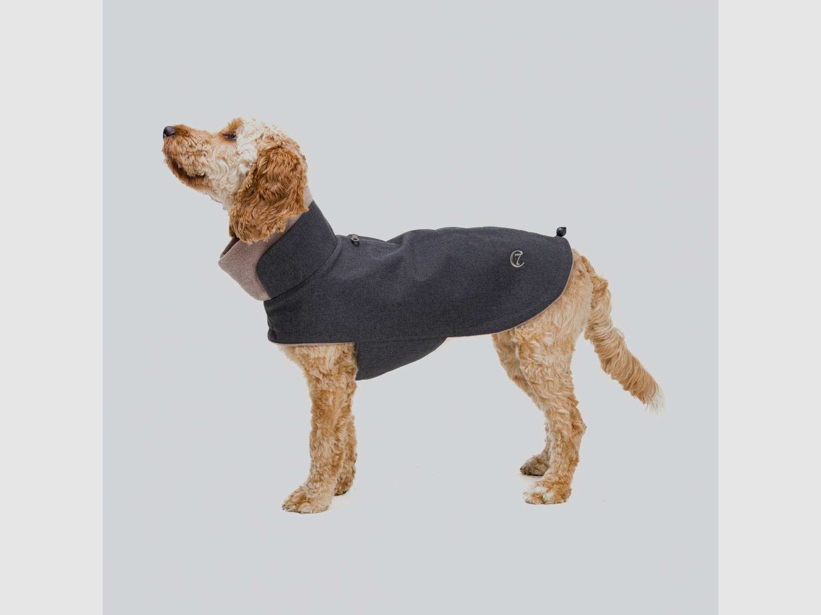 Cappotto per cani Brooklyn in cotone cerato grafite, immagine 2 di 7
