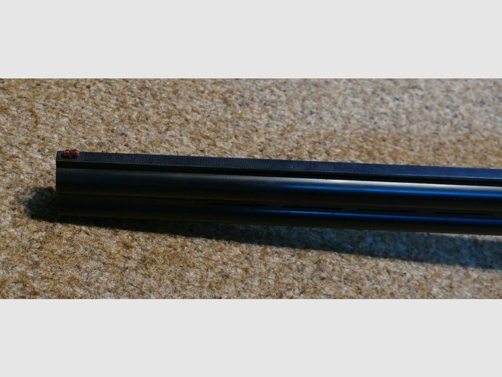 Rizzini Albion