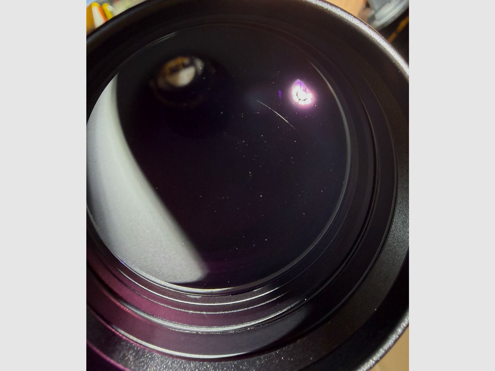 Blaser BBF 95 Prestige mit Zeiss Victory 3-12x56