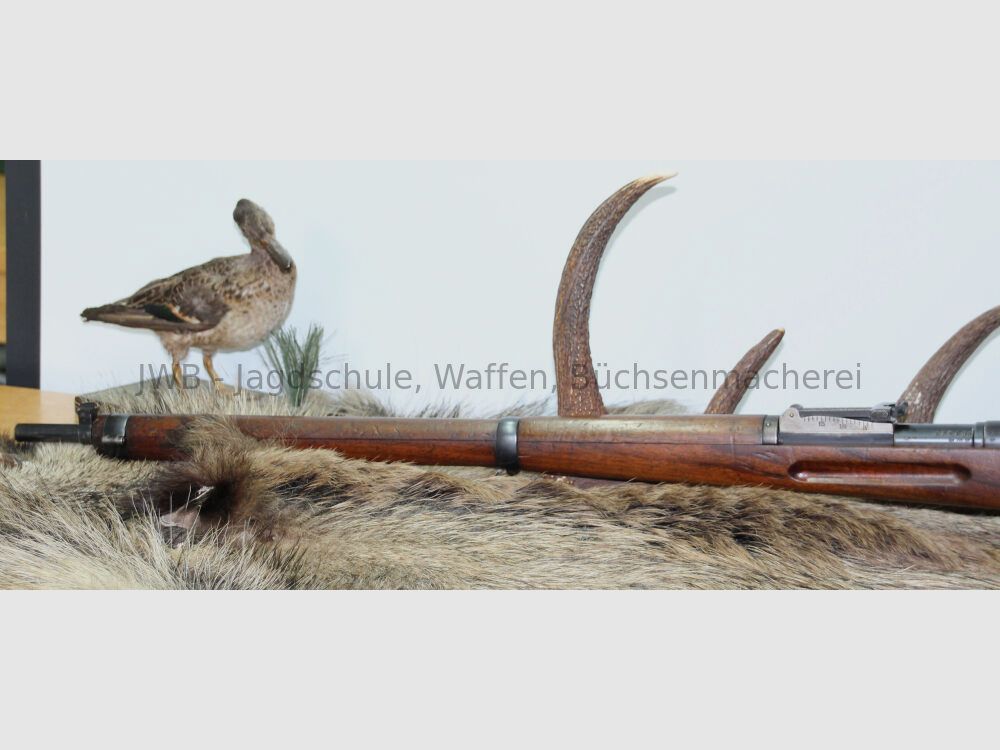 Fabbrica d'armi di Berna 96/11