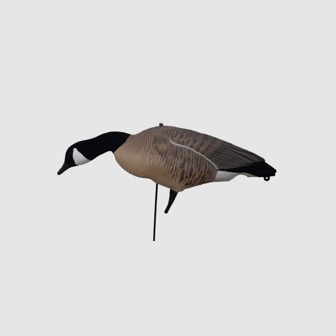 Prodecoys Canadese gans lokkers 12 stuks full body, afbeelding 2 van 9