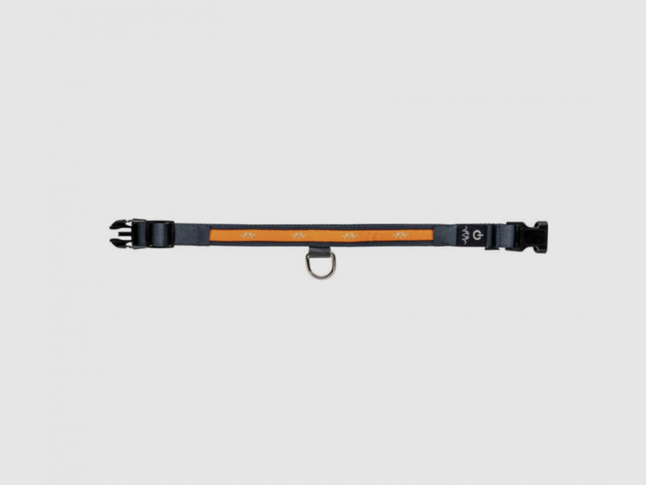 Blaser Halsband LED