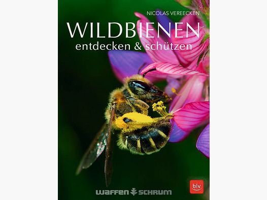 Gräfe & Unzer Wilde bijen ontdekken & beschermen