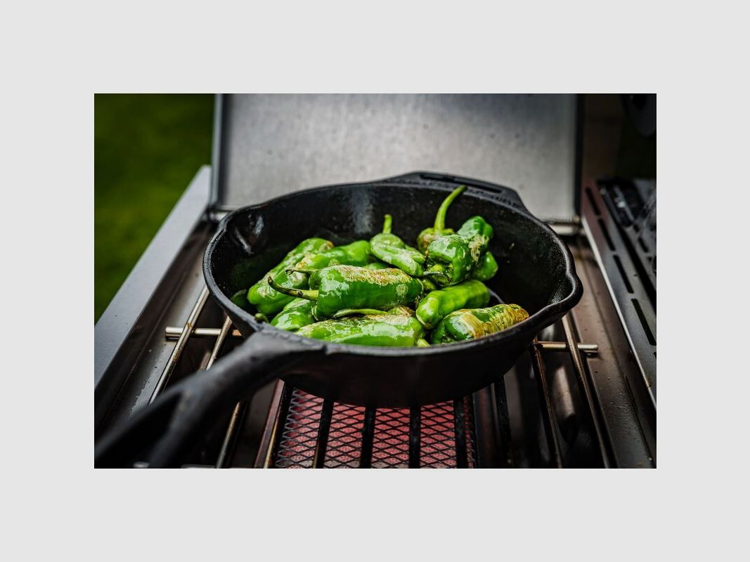 Grillfürst Gasgrill G310G mit Guseisen Rosten