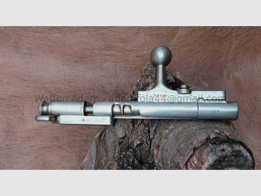 Steyr Kropatschek 1889