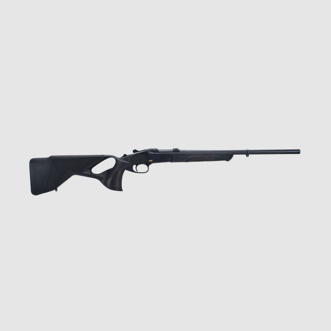 Blaser K95 Ultimate Komplettierung