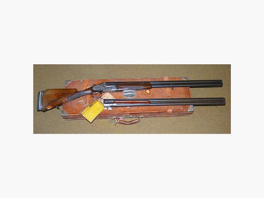 Shotgun Aya 37
