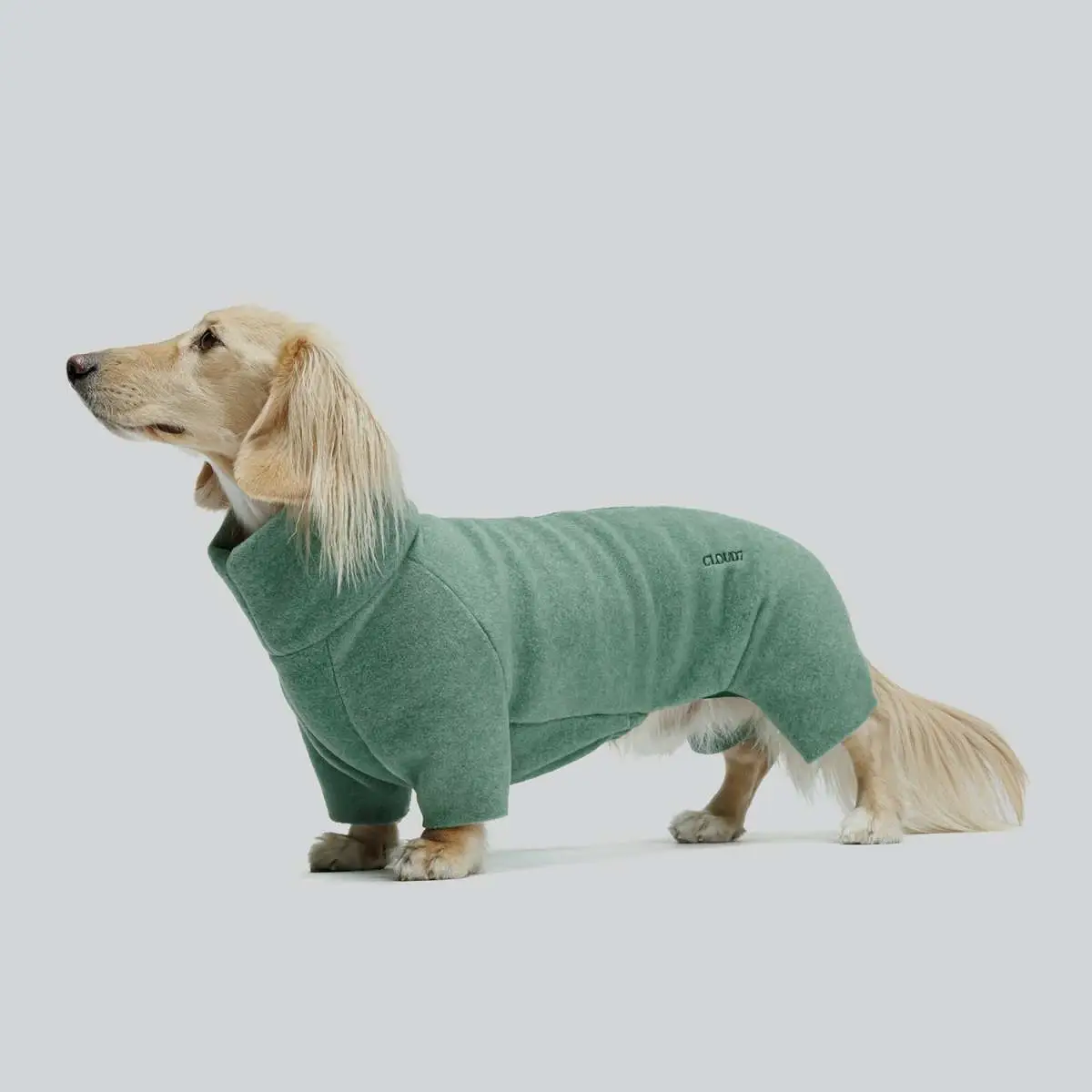 Dog Sweater Dachshund Fleece Cornwall Dusty Green, image 1 of 8