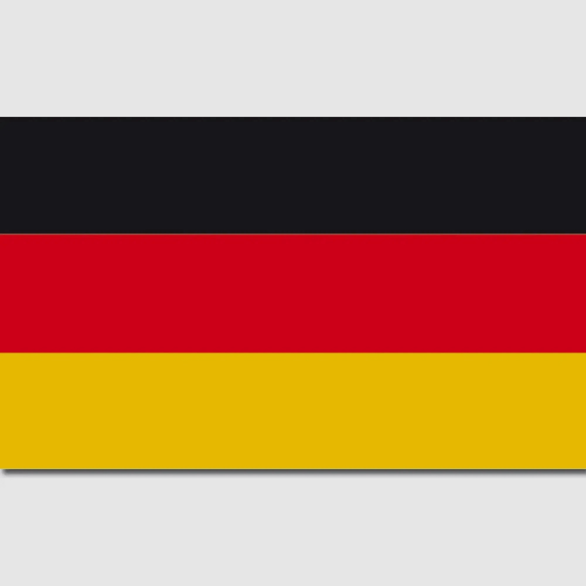 Mil-Tec Bandera de Alemania