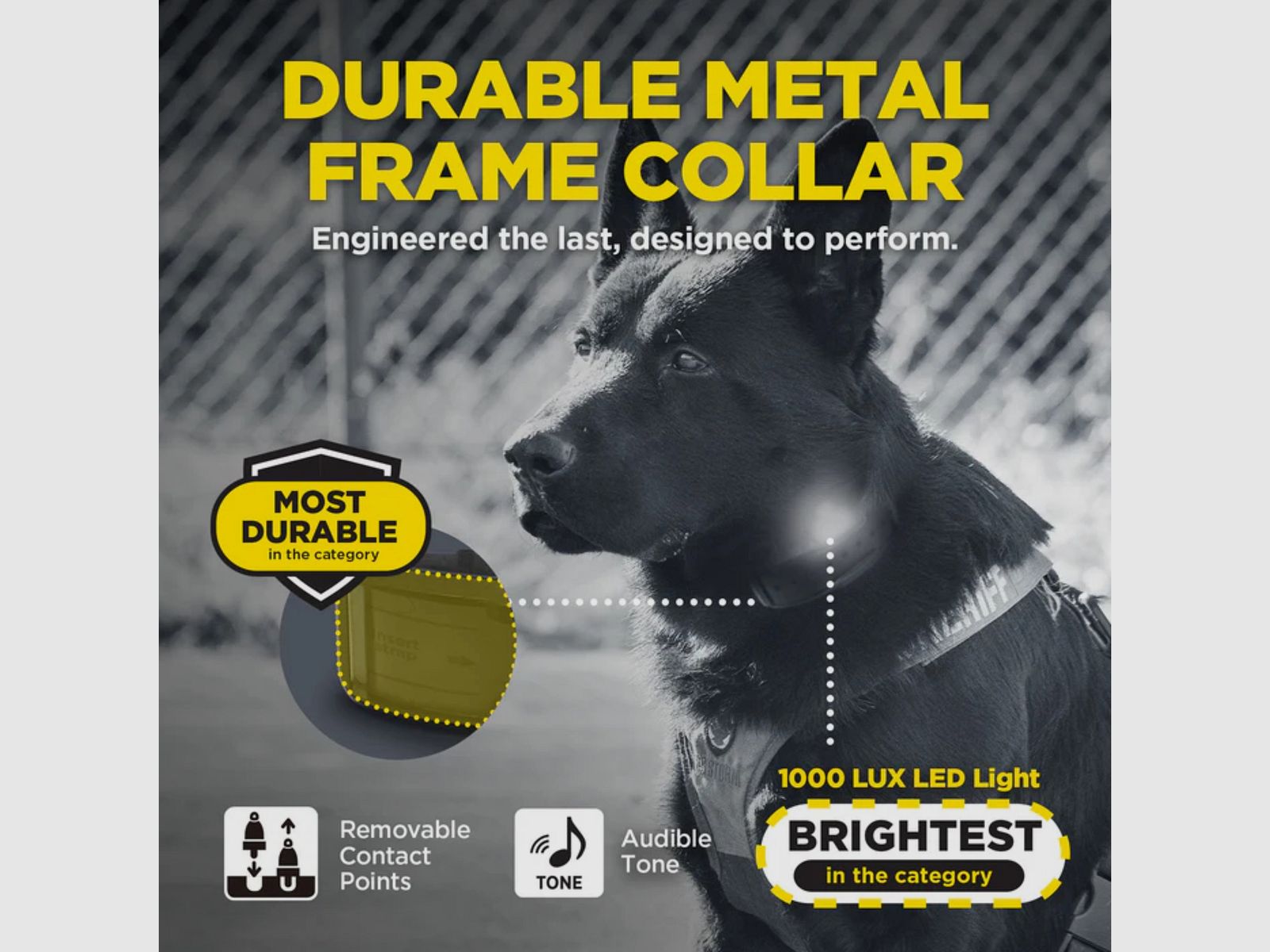 Dogtra 1200X Black Kit 1 cane, immagine 4 di 4