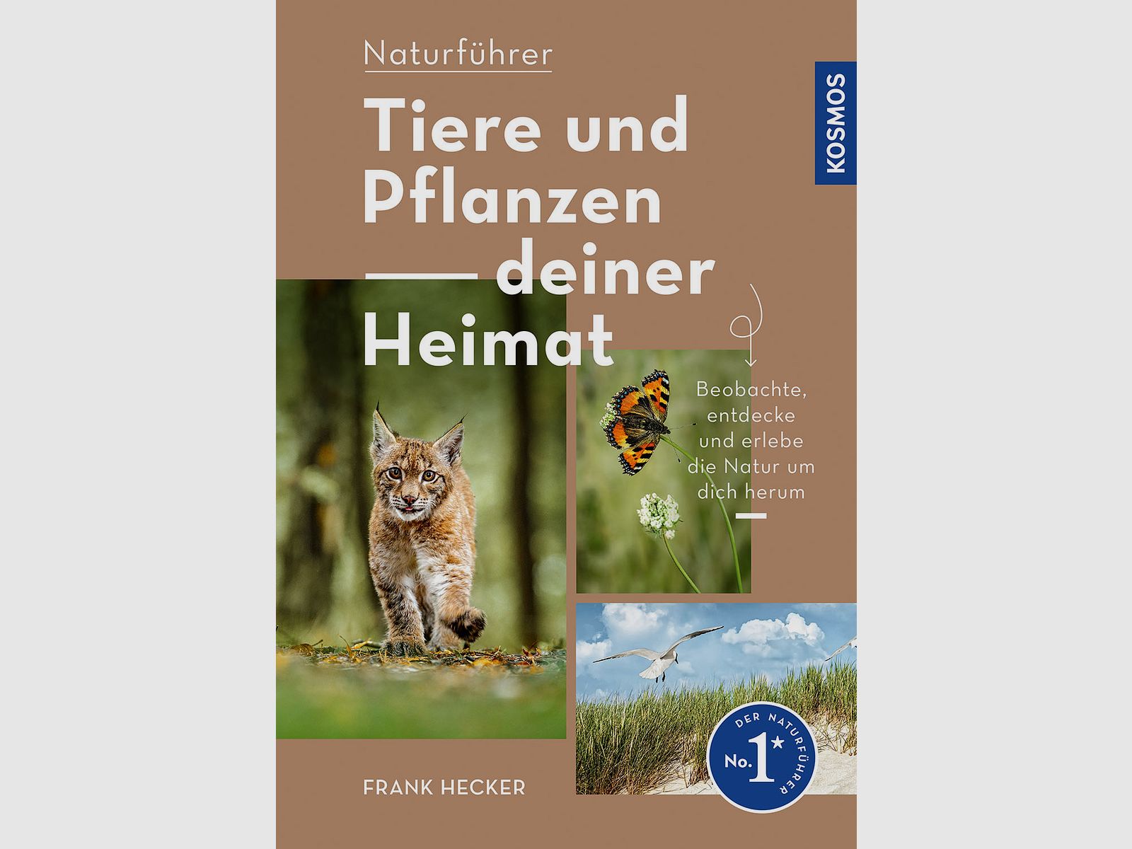 Buch "Naturführer Tiere und Pflanzen deiner Heimat"