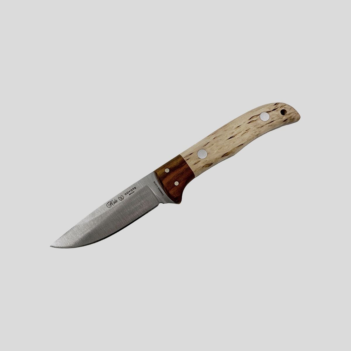 Miguel Nieto – Coyote Curly Birch 1059, Bild 1 von 3