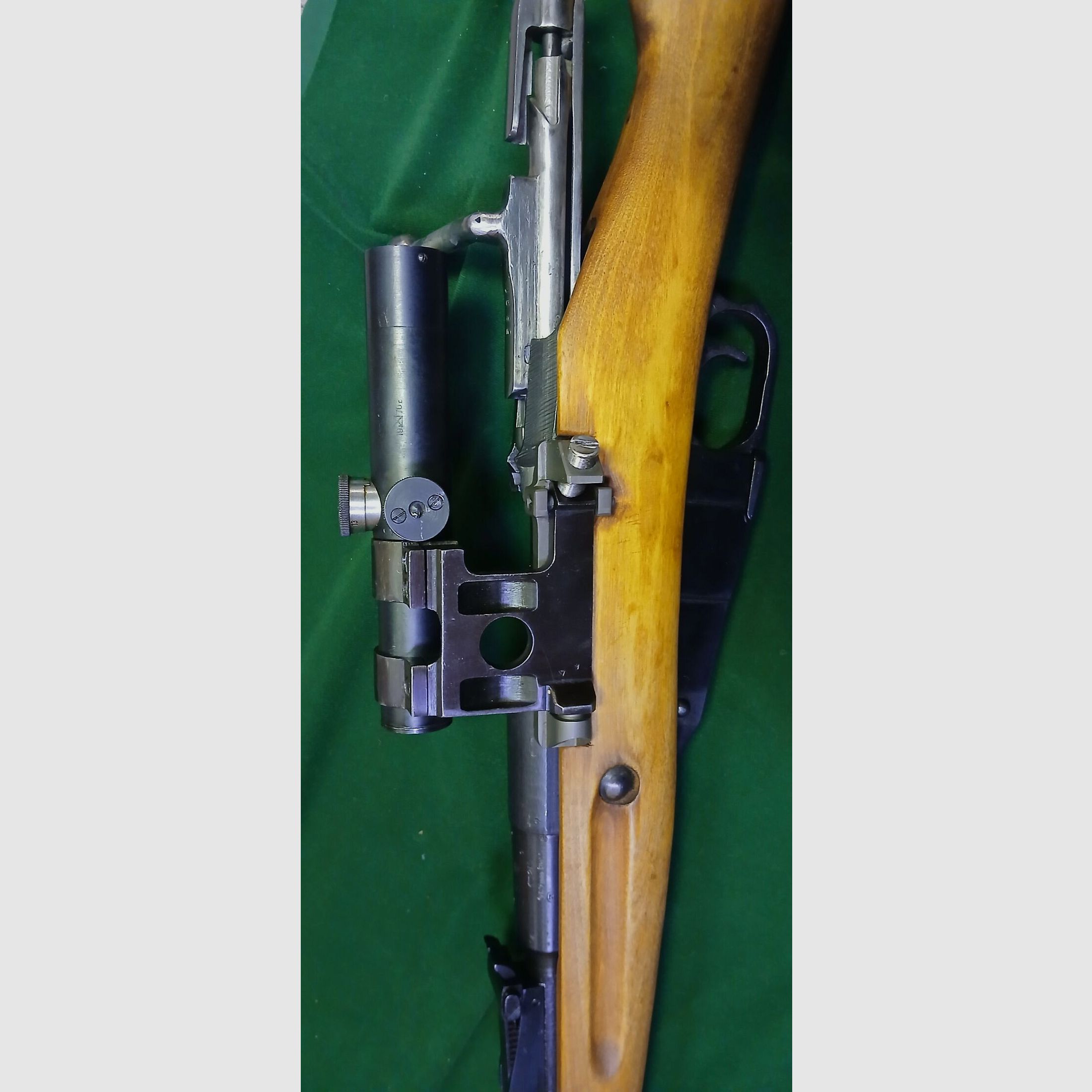 Mosin Nagant M 91/30 ?