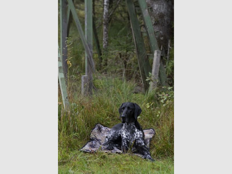Couverture pour chien Blaser - Couleur : HunTec Camo