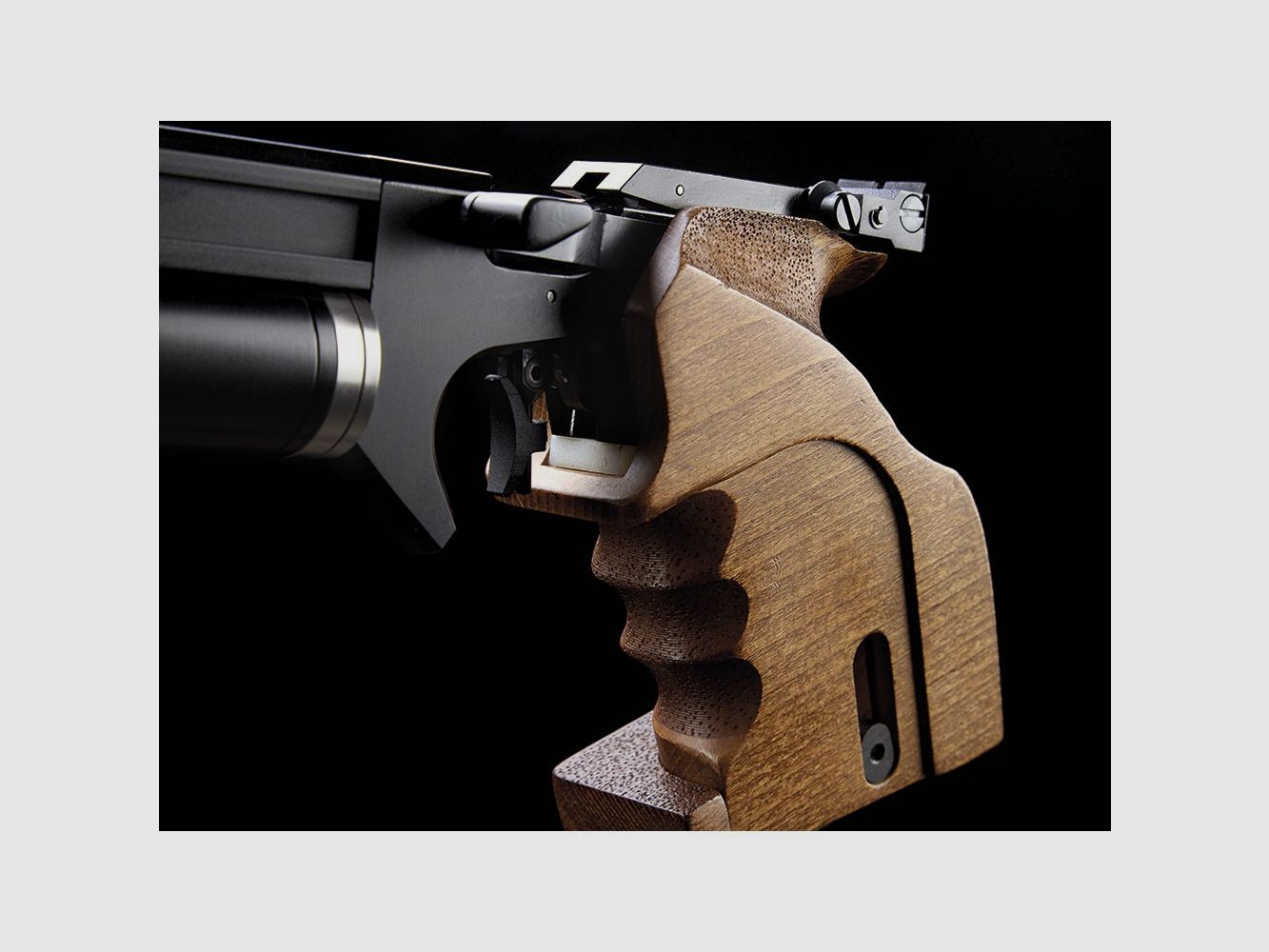 PCP-Pistole Arcea Rival-25 (PP20), Bild 3 von 5