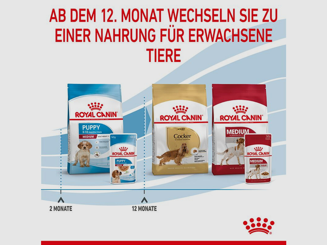 ROYAL CANIN Mittelgroße Hunde Nassfutter Welpen bis zum 12. Monat 10x140 g
