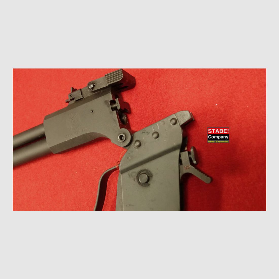 Springfield / CZ Scout M 6