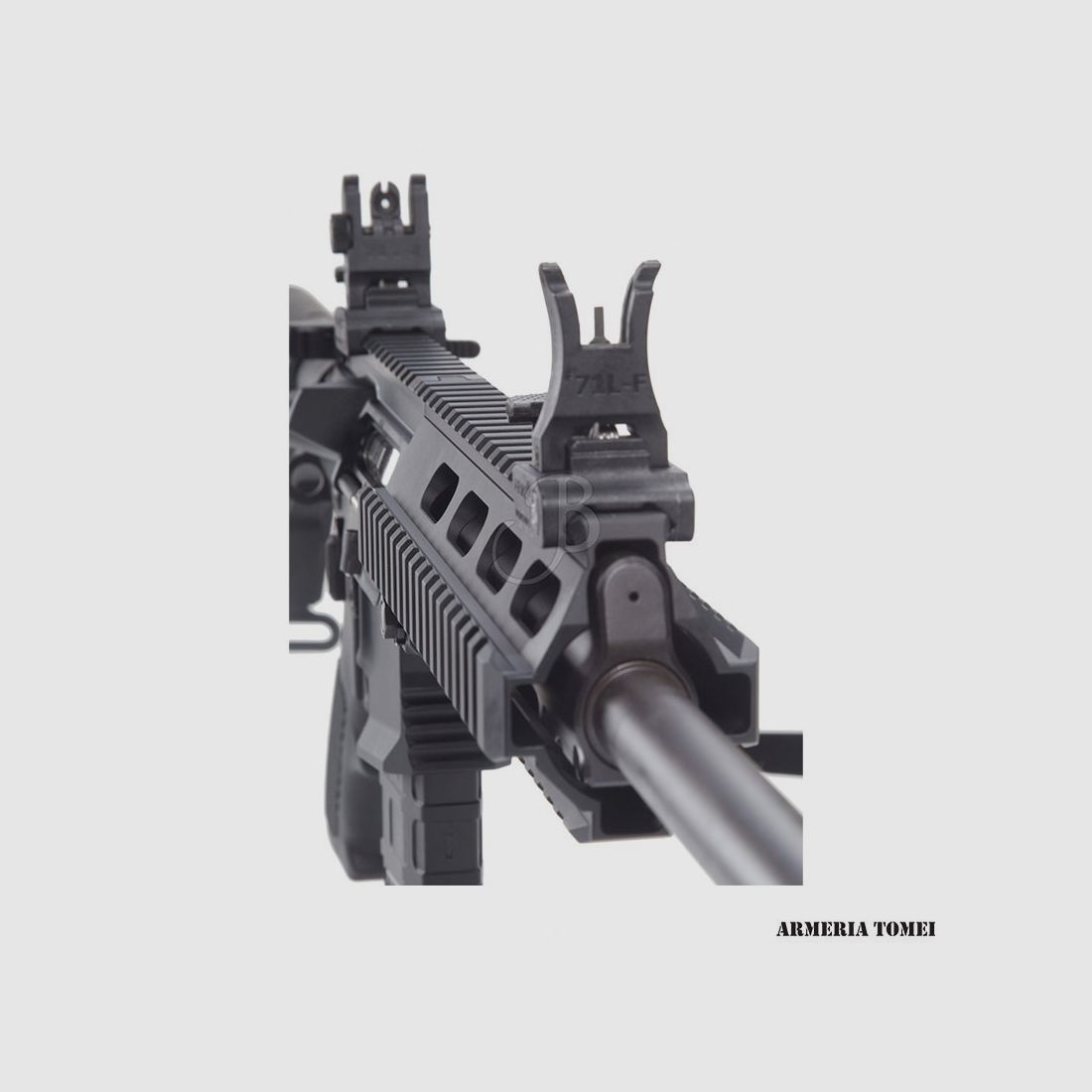 CARABINA – HAENEL – SEMIAUTO CR-223 223 REM 12.5″+ FB (S), immagine 3 di 5