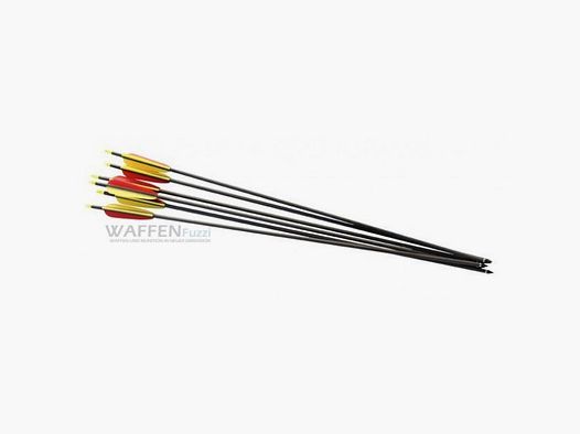 Carbonpfeile 30" 2 Stk. schwarzer Schaft