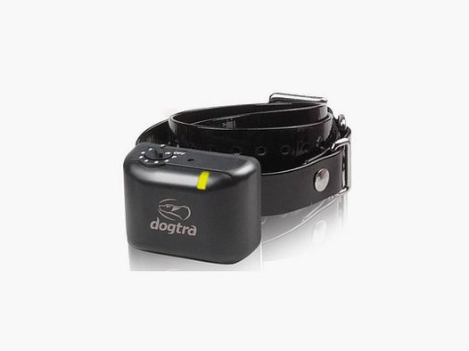 Collier anti-aboiement professionnel Dogtra YS 300